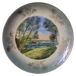 Vtg 20's Jonroth Studios Lake Titloe Park Gaylord Minnesota Souvenir Plate Gold